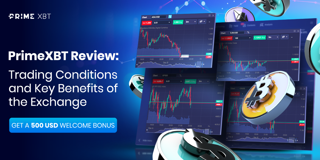 Copy Trade a Winning Position How to Succeed in Trading